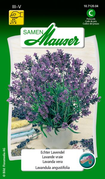 Samen Mauser | Lavendel