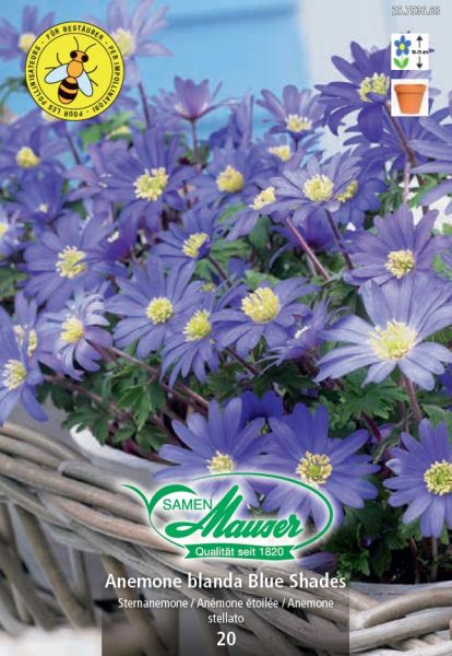 Blumenzwiebeln | Blue Shades, Anemonen blanda