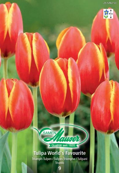 Blumenzwiebeln | World’s Favourite, Triumph-Tulpe