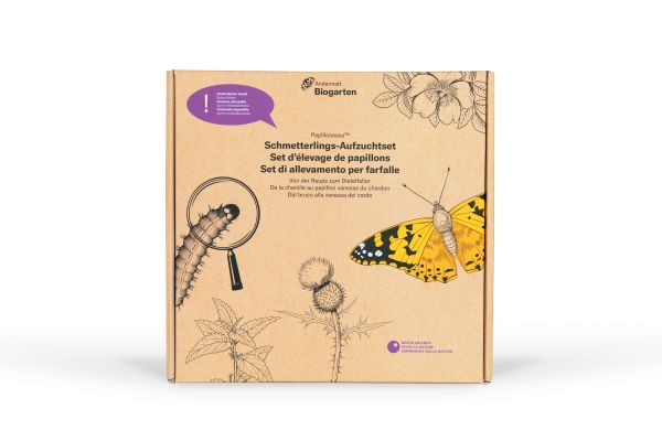 Nützlinge | Schmetterlings-Aufzuchtset