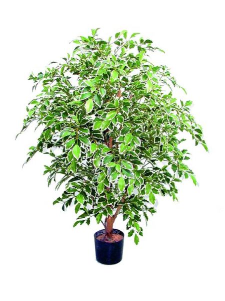 Luwasa | Kunstpflanze | Ficus benj. panachiert