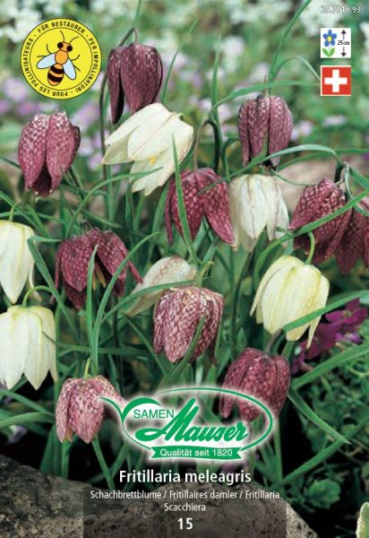 Blumenzwiebeln | Fritillaria meleagris Mischung, Schachbrettblume