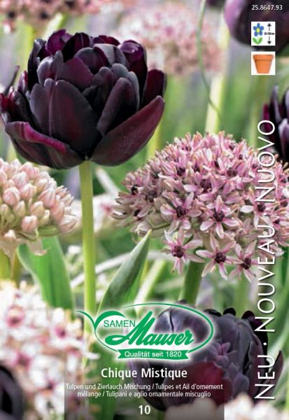 Bulbes à fleurs | Tulipes & Allium Mélange Chique Mistique