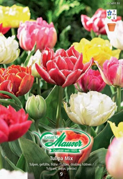 Bulbes à fleurs | Mélange, Tulipe double, hâtive, 9 bulbes