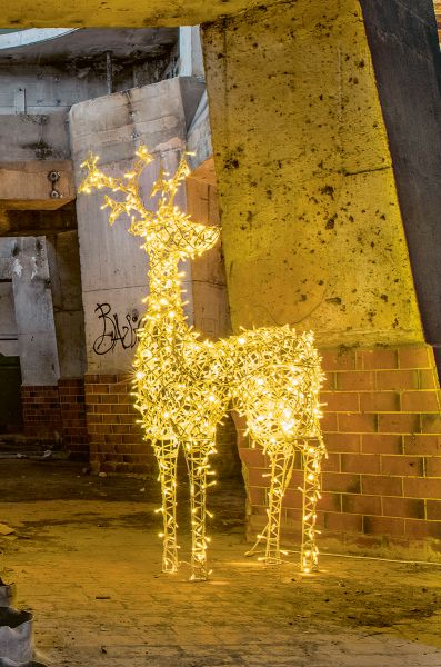 STT | Lumières de Noël | Renne Arne