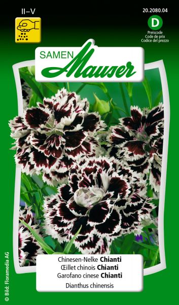 Samen Mauser | Dianthus chinensis Chianti