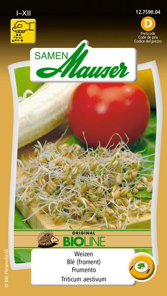 Samen Mauser | BIO Keimsamen Weizen