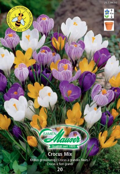 Blumenzwiebeln | Krokus Ideal Mischung