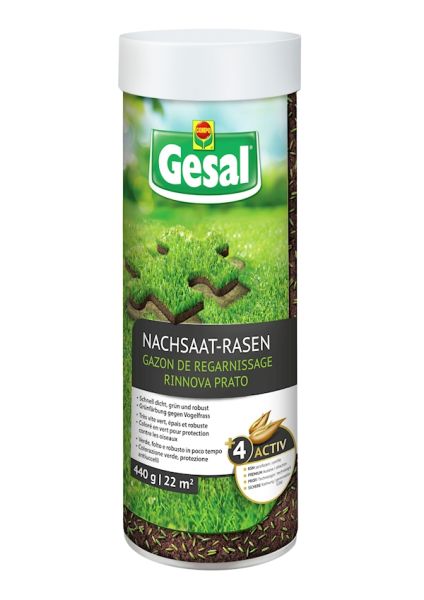 Gesal | Nachsaat-Rasen