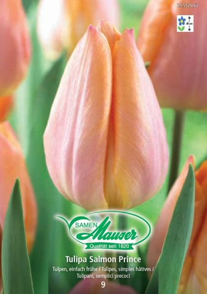 Blumenzwiebeln | Salmon Prince Frühe Tulpe