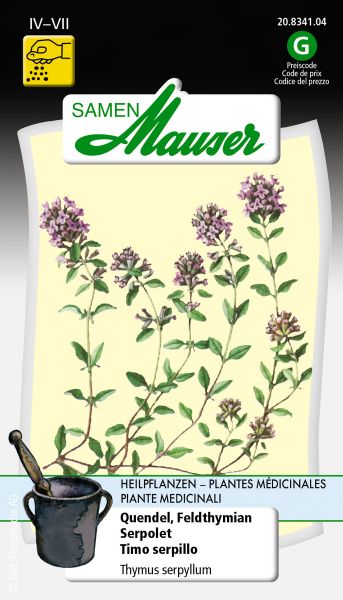 Samen Mauser | Thymus serpyllum