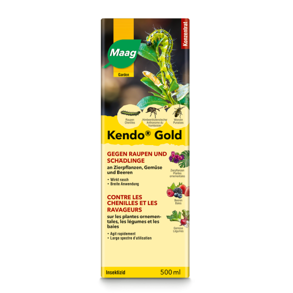 Maag | Kendo® Gold