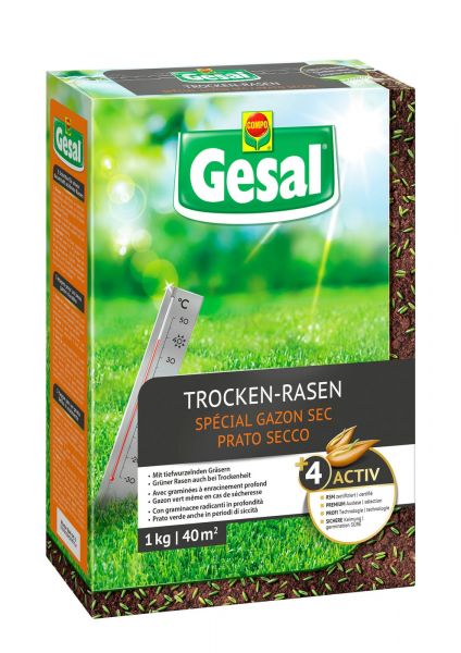 Gesal | Trocken-Rasen