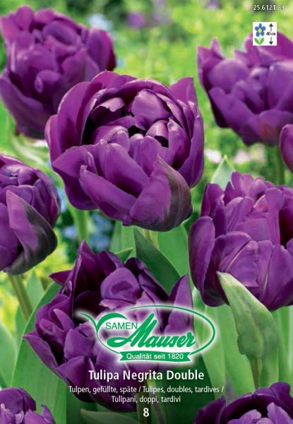 Bulbes à fleurs | Negrita Double, Tulipe double, tardive, 8 bulbes