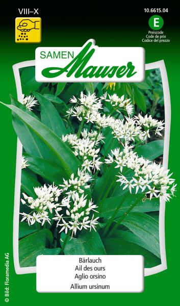 Samen Mauser | Allium ursinum