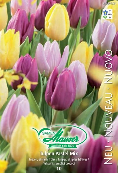 Blumenzwiebeln | Tulpen Mischung Pastel